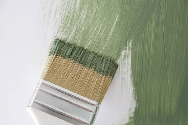 Best Mold Documentation for Insurance Claims  in Portsmouth, NH