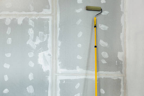 Trusted Portsmouth, NH Mold Removal Experts
