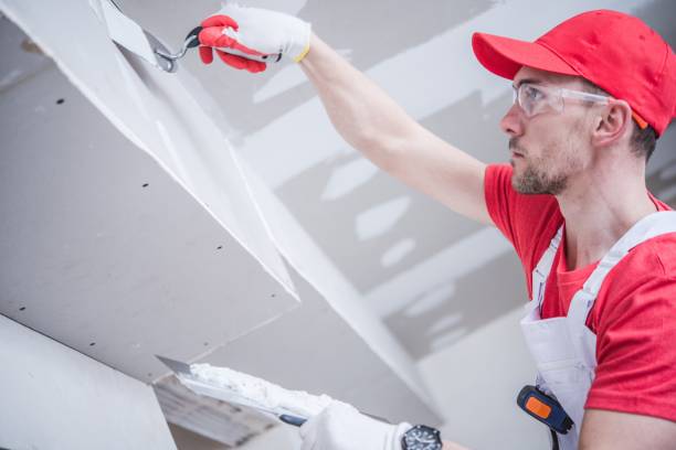 Best Mold Odor Removal Services  in Portsmouth, NH